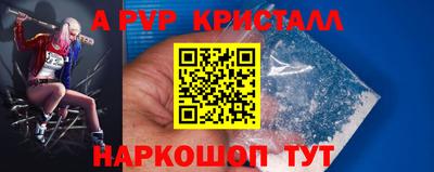 Альфа ПВП Кандалакша