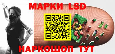 Альфа ПВП Кандалакша