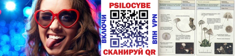 Псилоцибиновые грибы Cubensis  omg сайт  Светлоград  дарнет шоп 