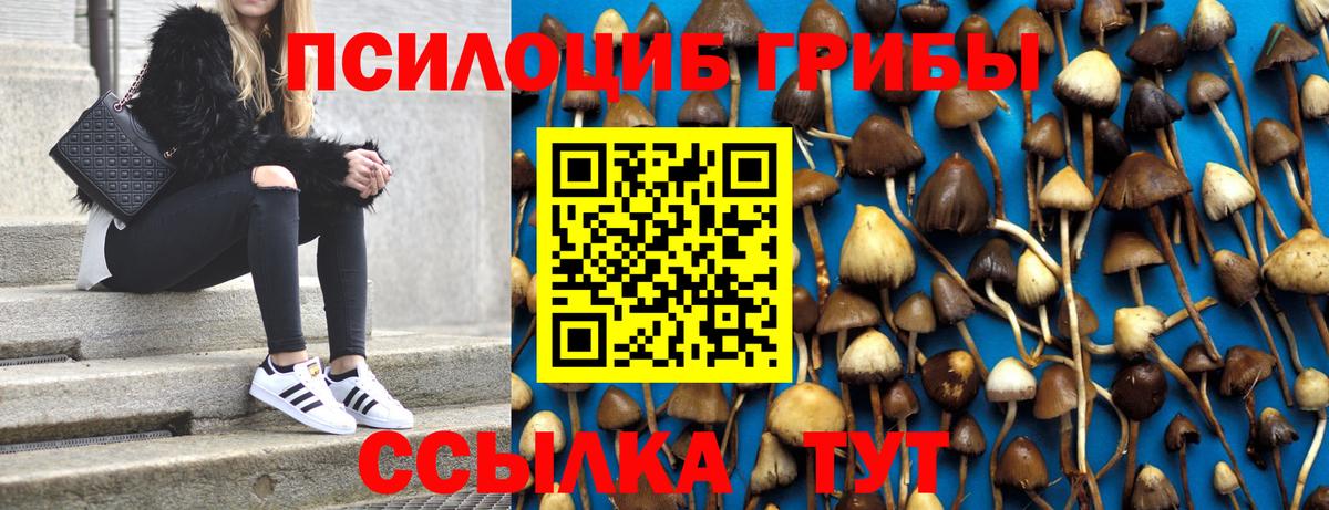 Псилоцибиновые грибы прущие грибы Светлоград