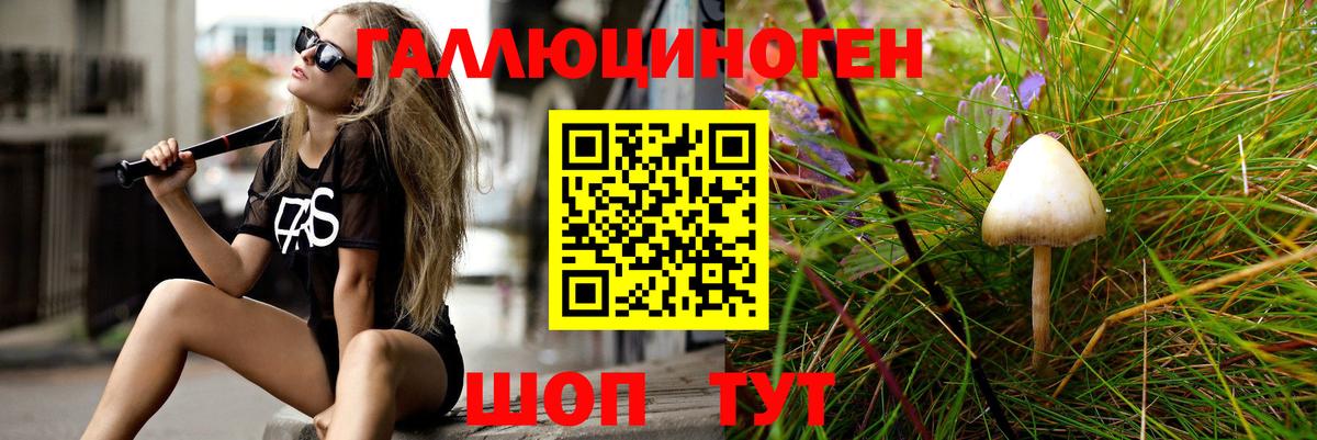 Галлюциногенные грибы Cubensis  Вход с VPN  Галлюциногенные грибы GOLDEN TEACHER  закладка  Светлоград 